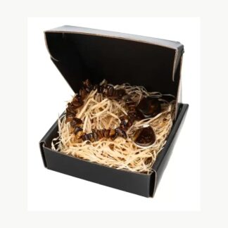 Cofanetto Gemelli con bracciale in occhio di tigre Vives