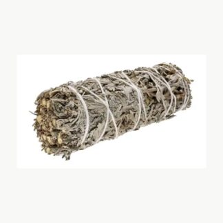 Fascio aromatico di assenzio Vives