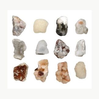Confezione da 12 Minerali Mix Vives