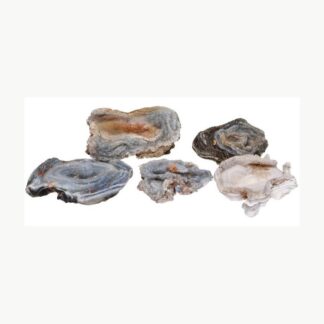 Calcedonio Cristallizzato grezzo 20-29gr Vives